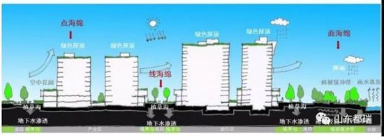 如何理解「海綿城市」的概念？